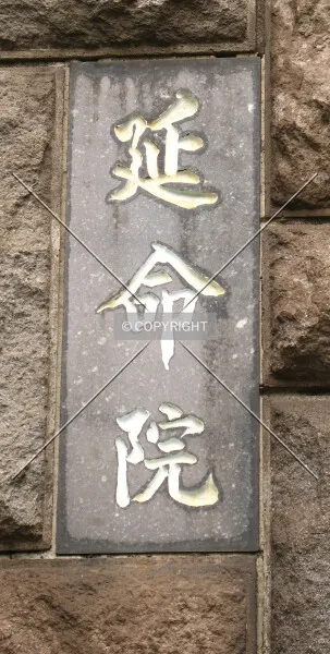 Photo 392-587-839