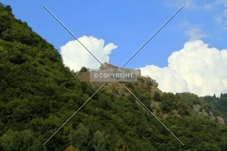 Photo 392-786-097