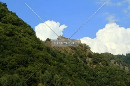 Photo 392-786-097