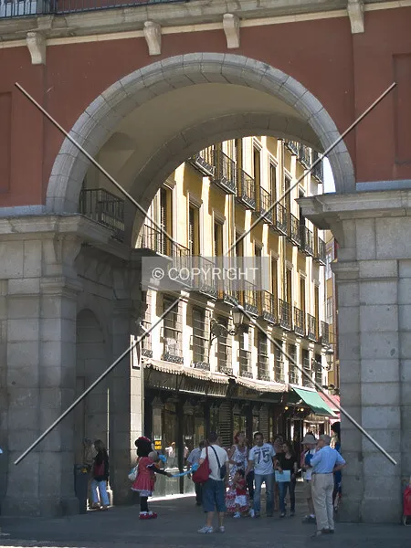 Photo 039-319-119