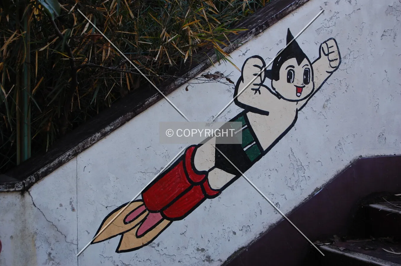 Photo 393-395-939