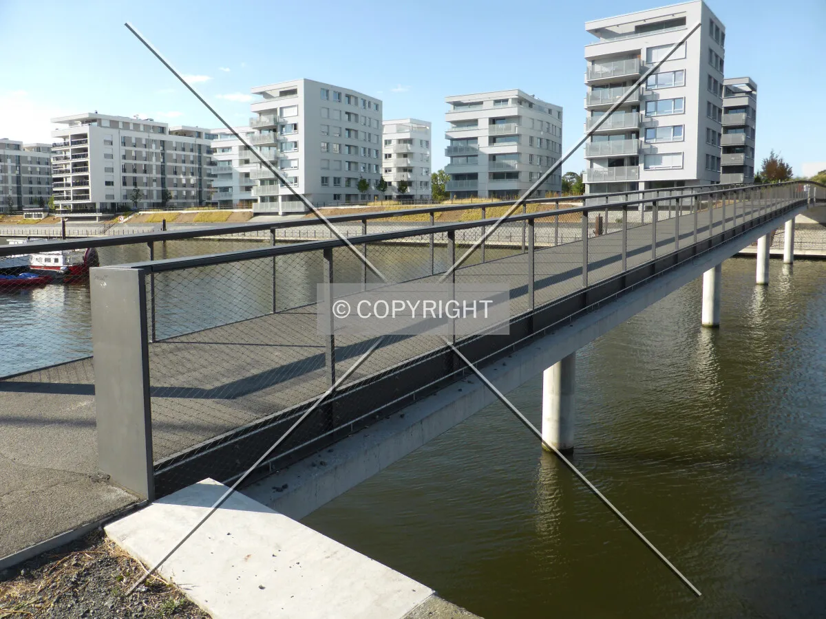 Photo 393-707-768