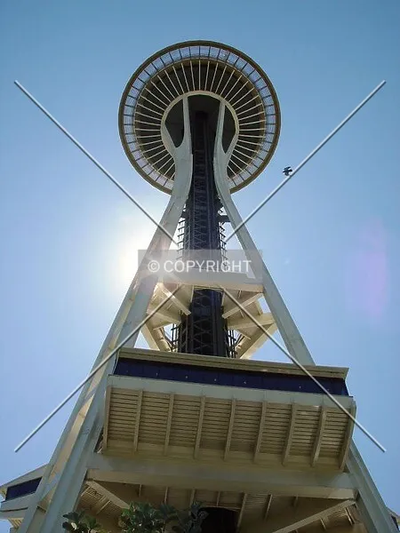 Photo 393-792-776