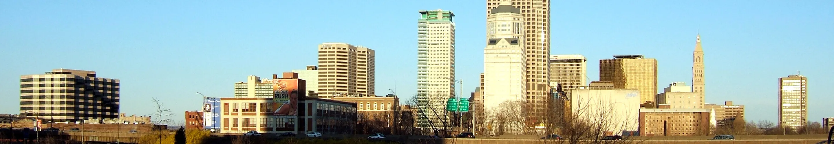 Downtown from the west