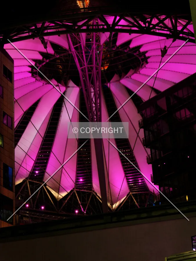 Canopy at night