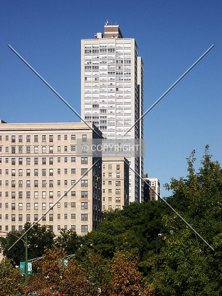 Photo 394-276-782