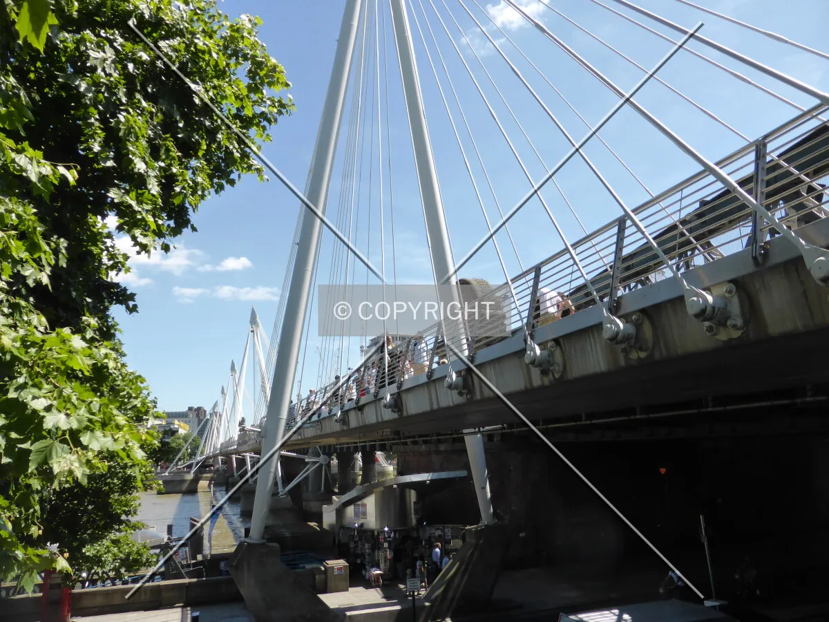 Photo 394-368-174