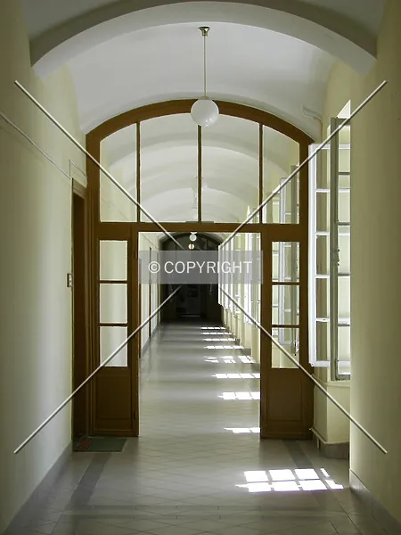 Photo 394-658-575