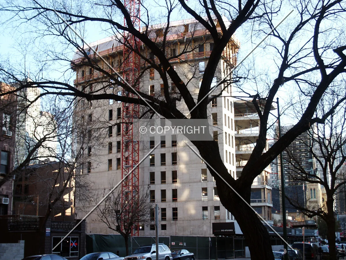 Looking through a tree on Dearborn Street