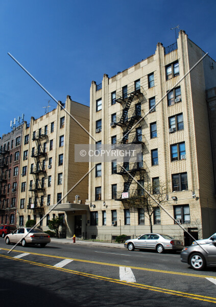 Photo 395-288-429