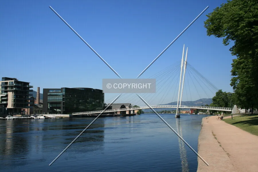 Photo 395-356-966