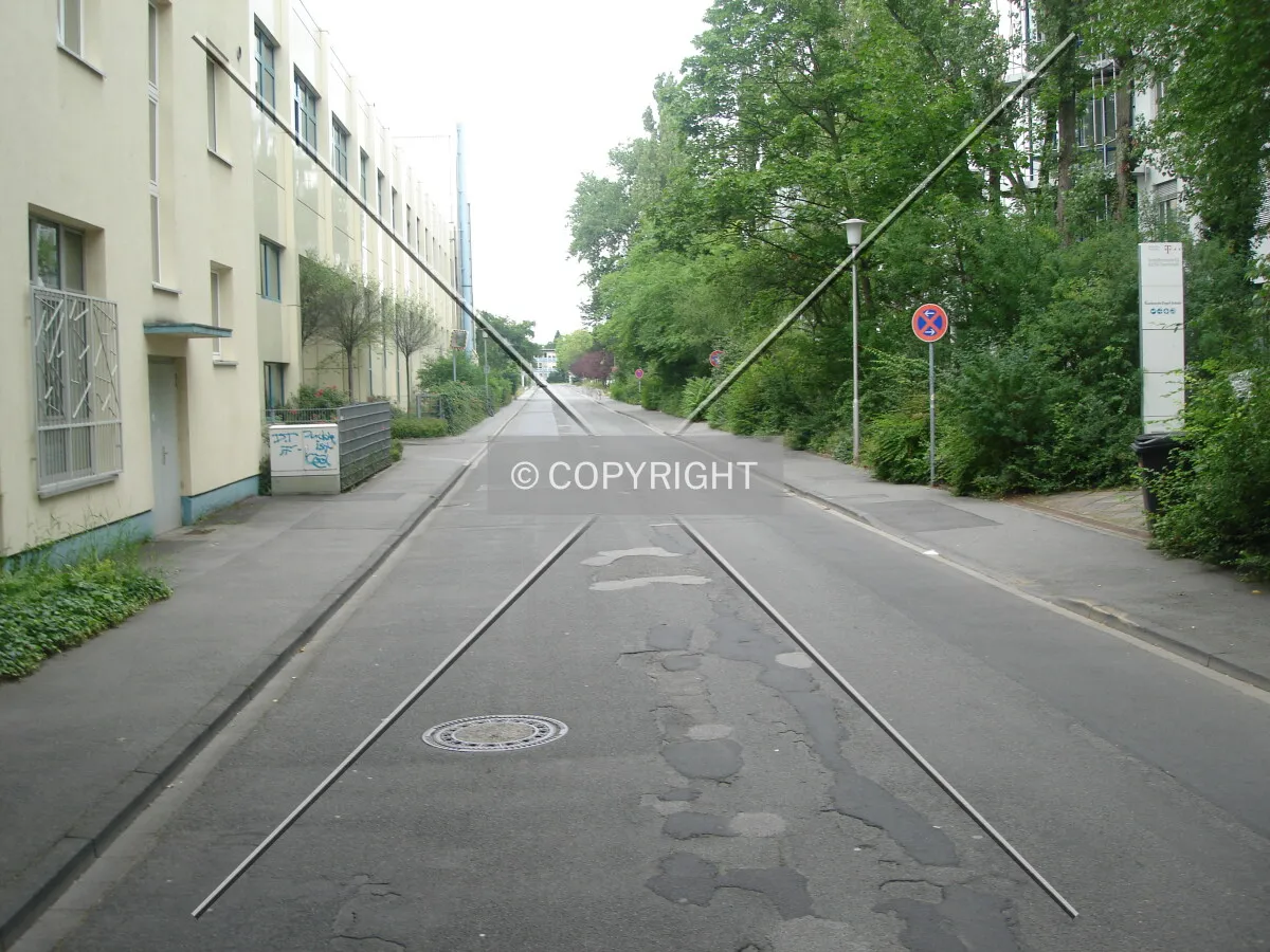 Photo 395-456-360