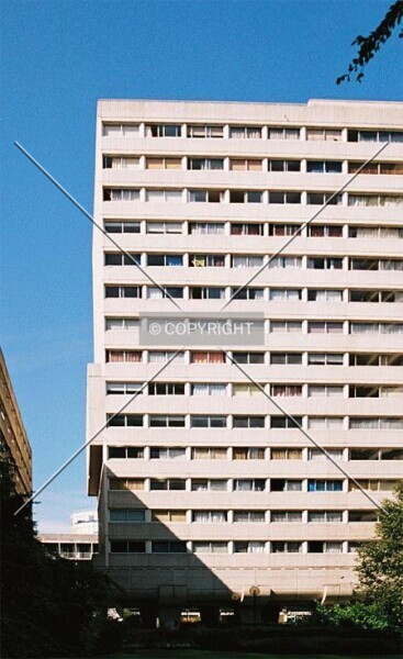 Photo 396-229-456