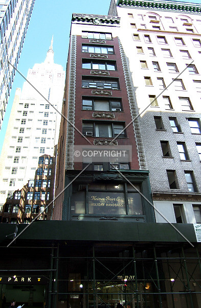 Photo 397-039-880