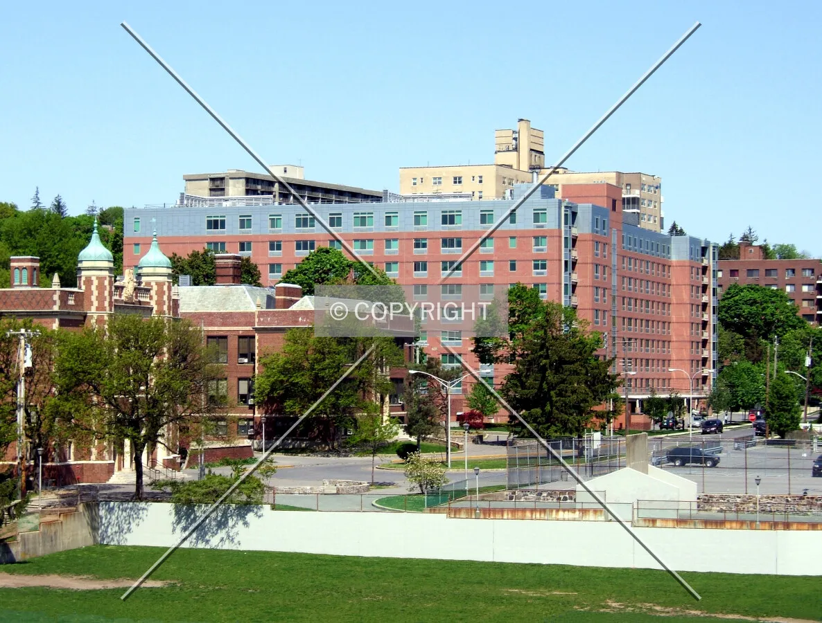 View from the southeast