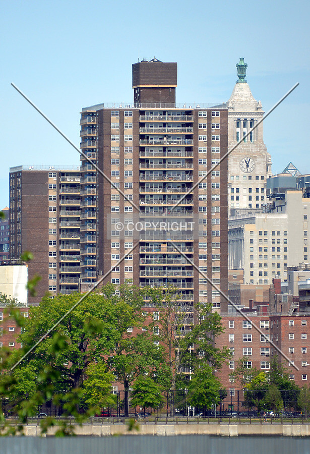 View from the southeast