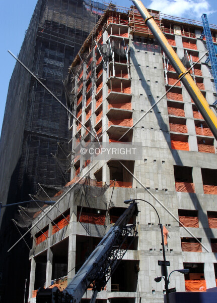 Photo 398-257-983