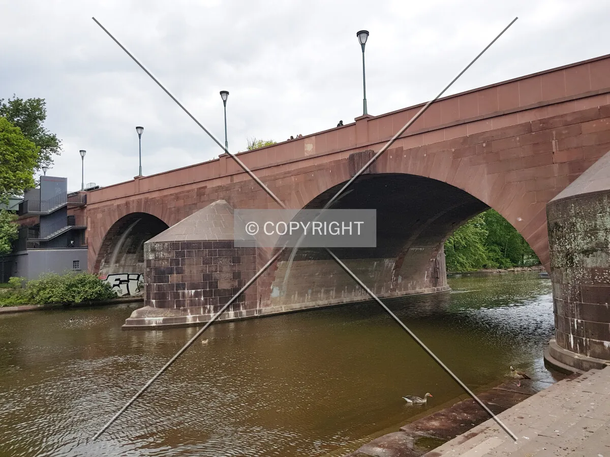 Photo 398-417-378