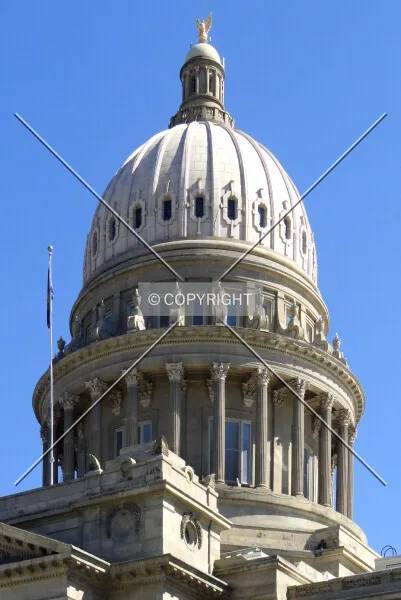 Photo 398-479-217