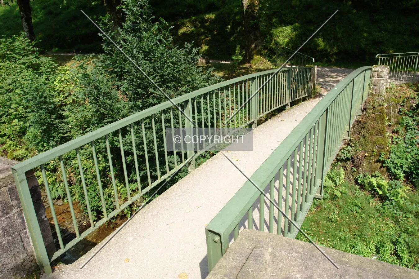 Photo 399-219-094