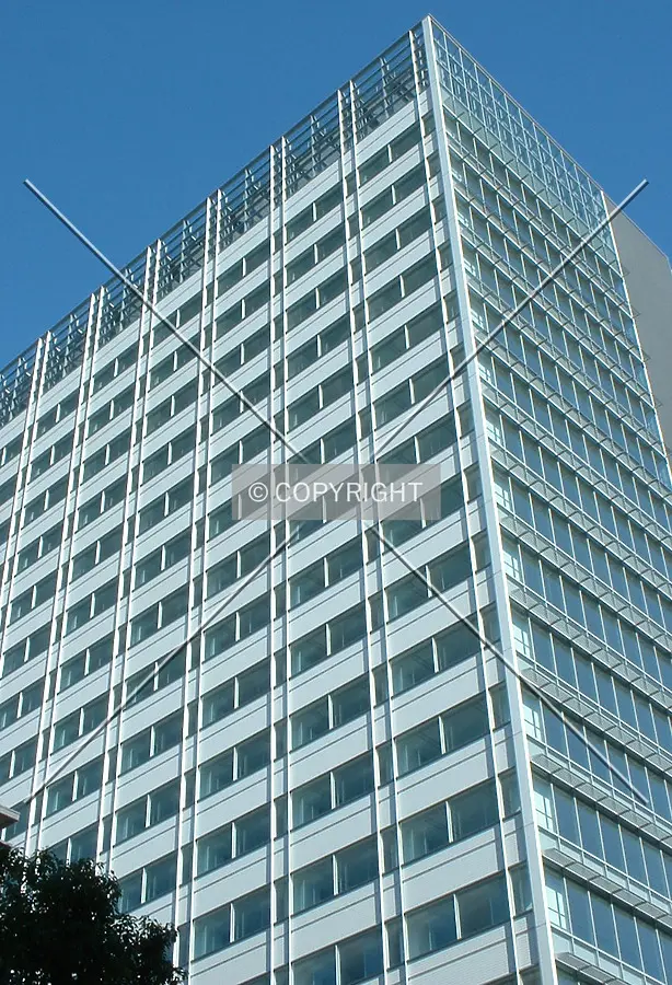 South windows