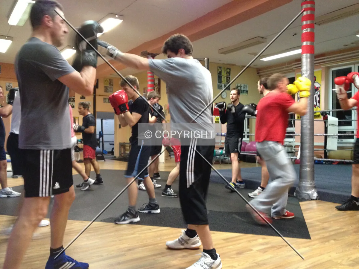 Boxers are having a training session