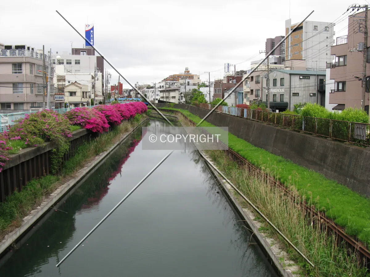 Photo 400-444-944