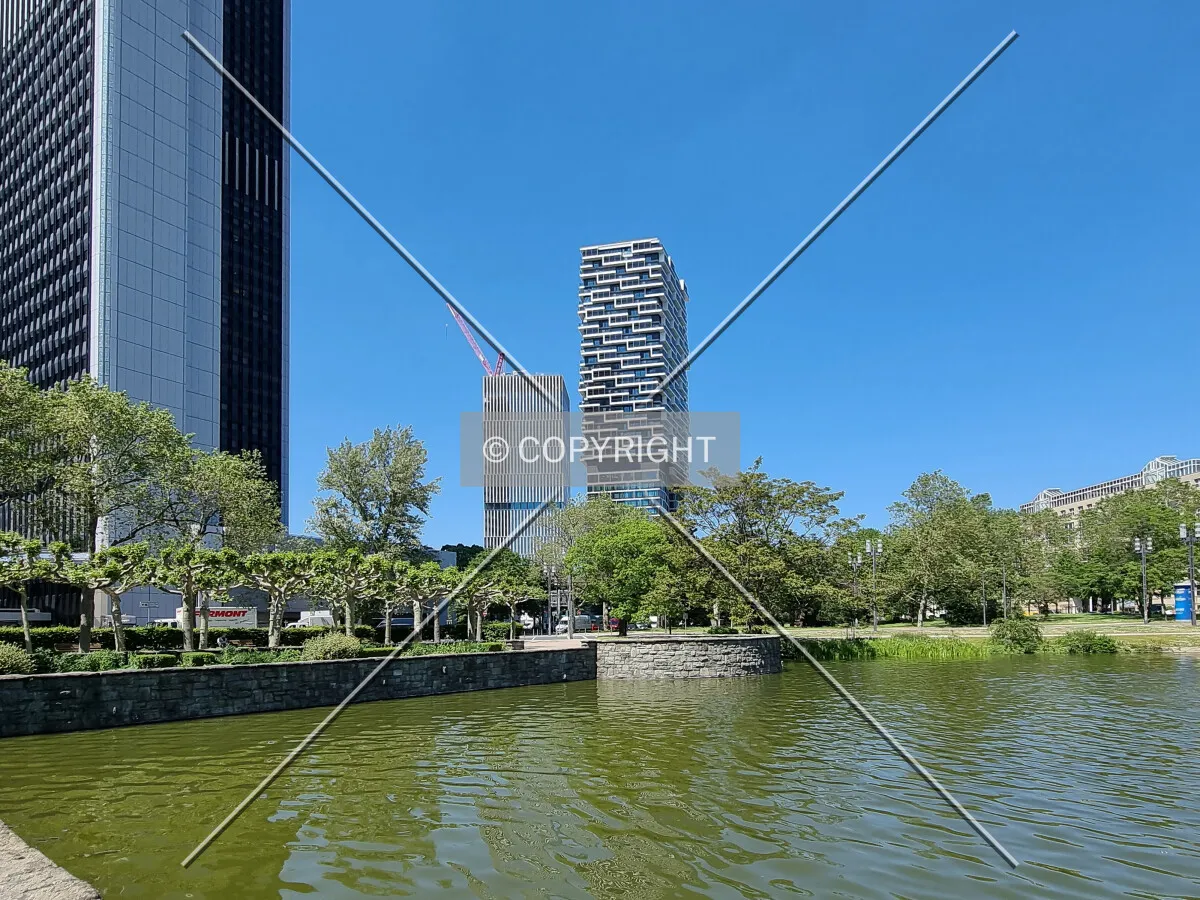 Photo 040-170-242