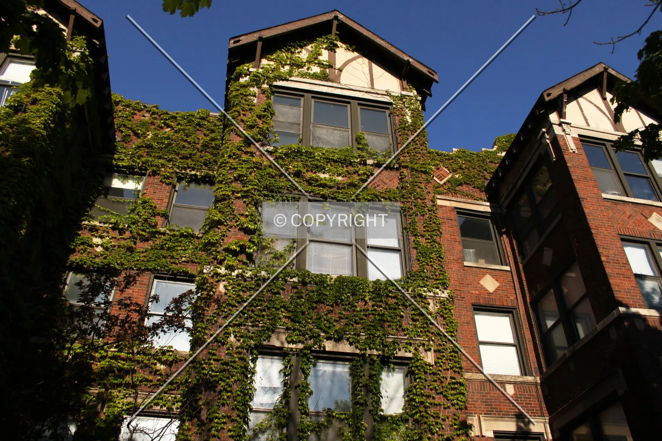 Photo 402-001-818
