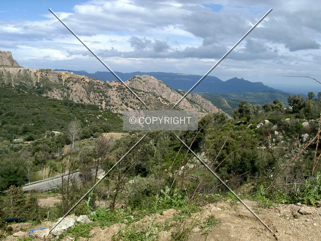 Photo 402-016-686