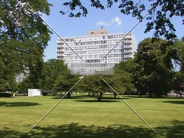 View from the south