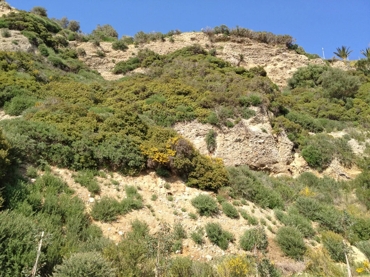 Photo 404-056-781