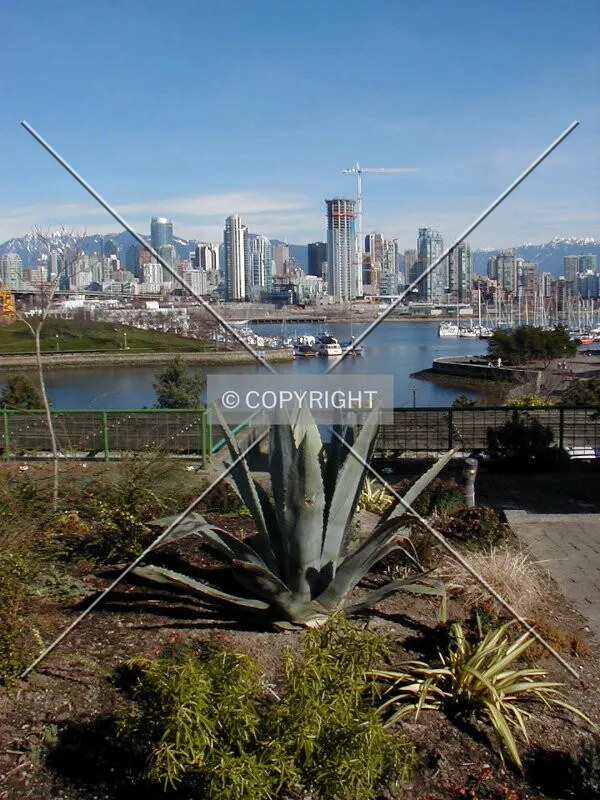 Photo 404-204-526