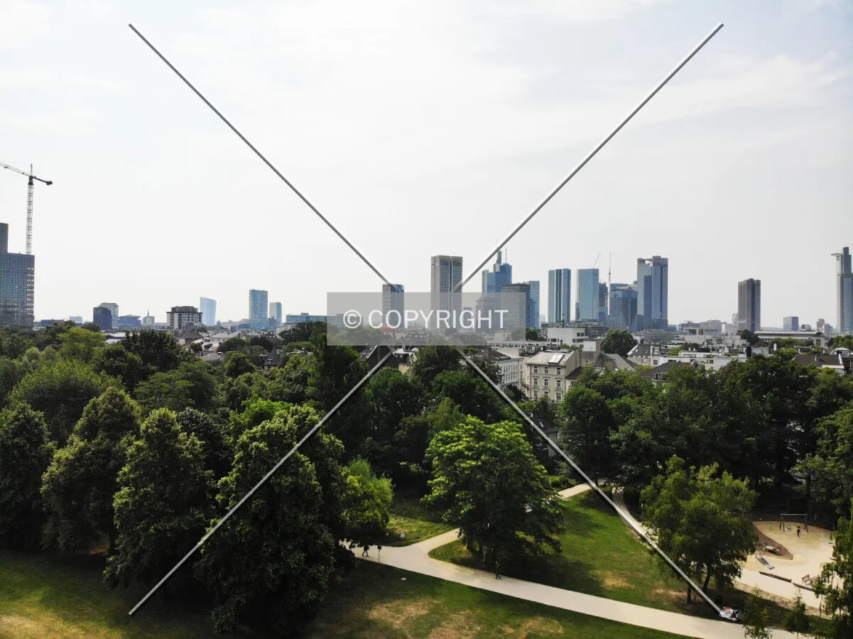 Panorama view over Frankfurt, Germany