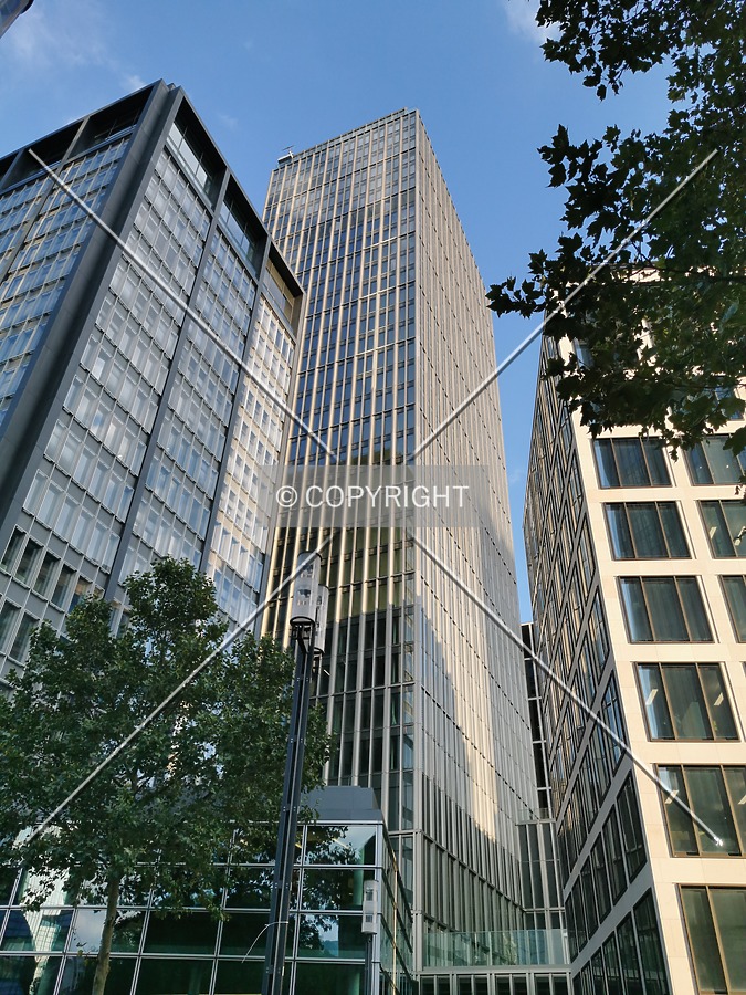 Photo 406-169-311