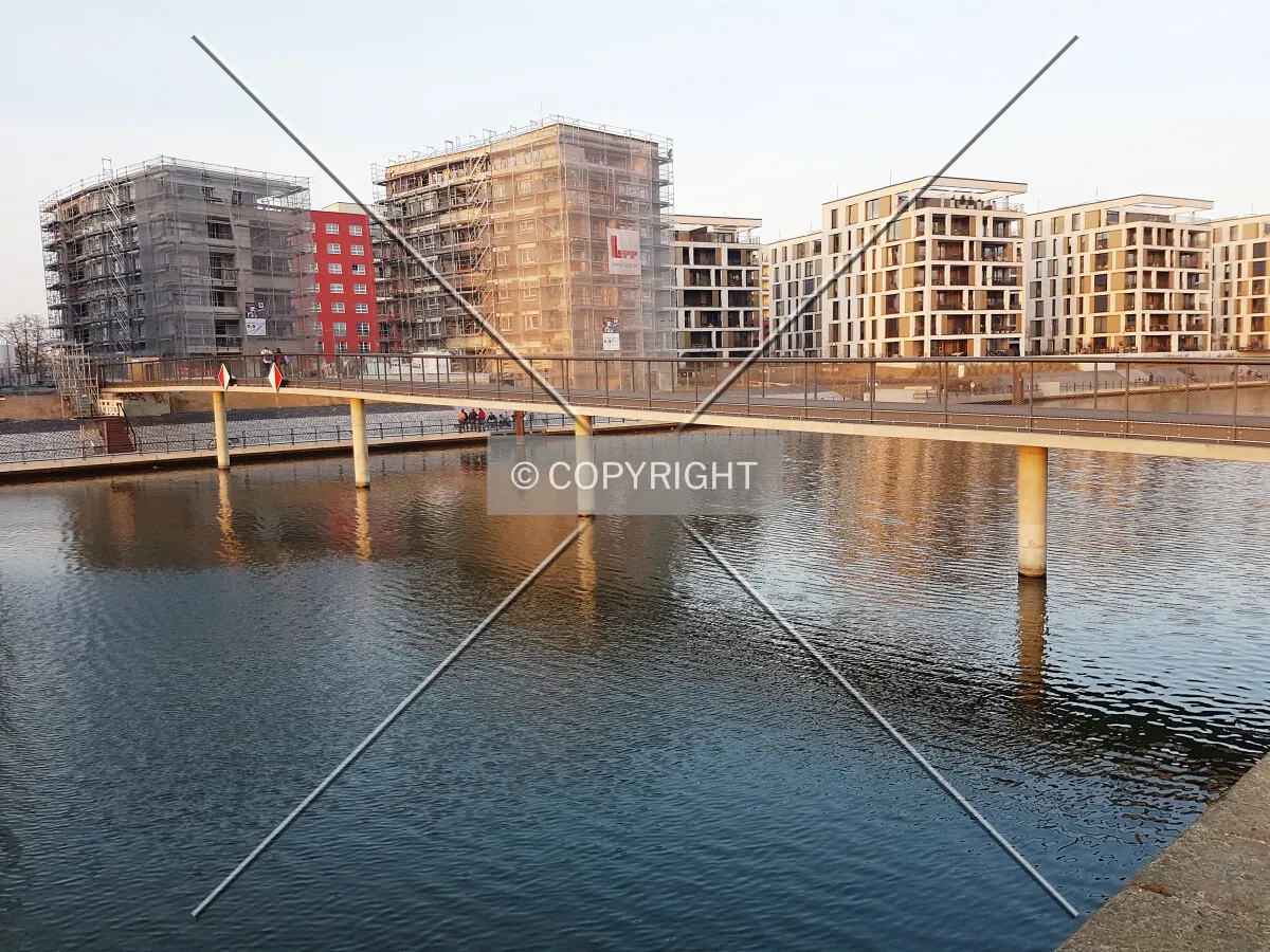 Photo 407-123-376