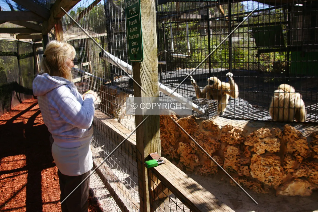 Photo 407-252-262