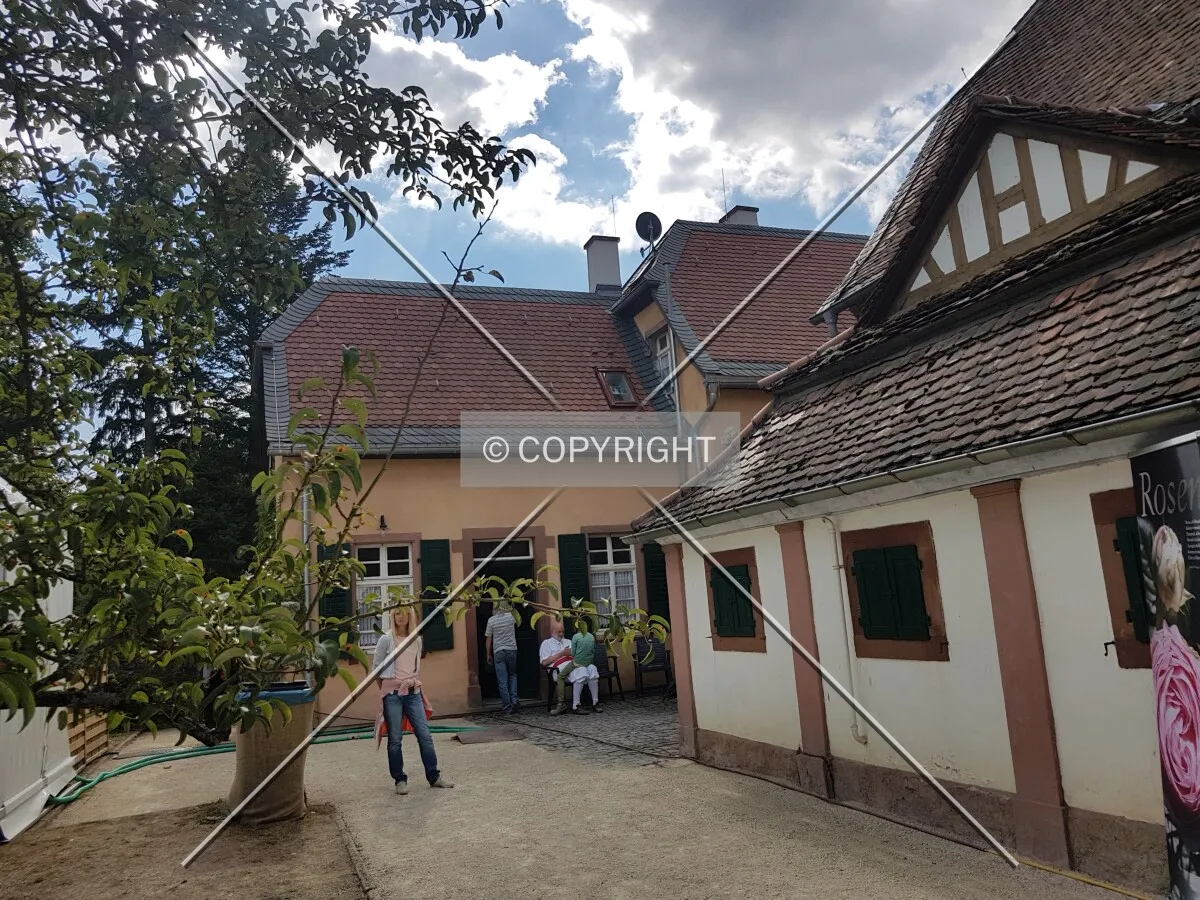 Schloß Wolfsgarten in 2018