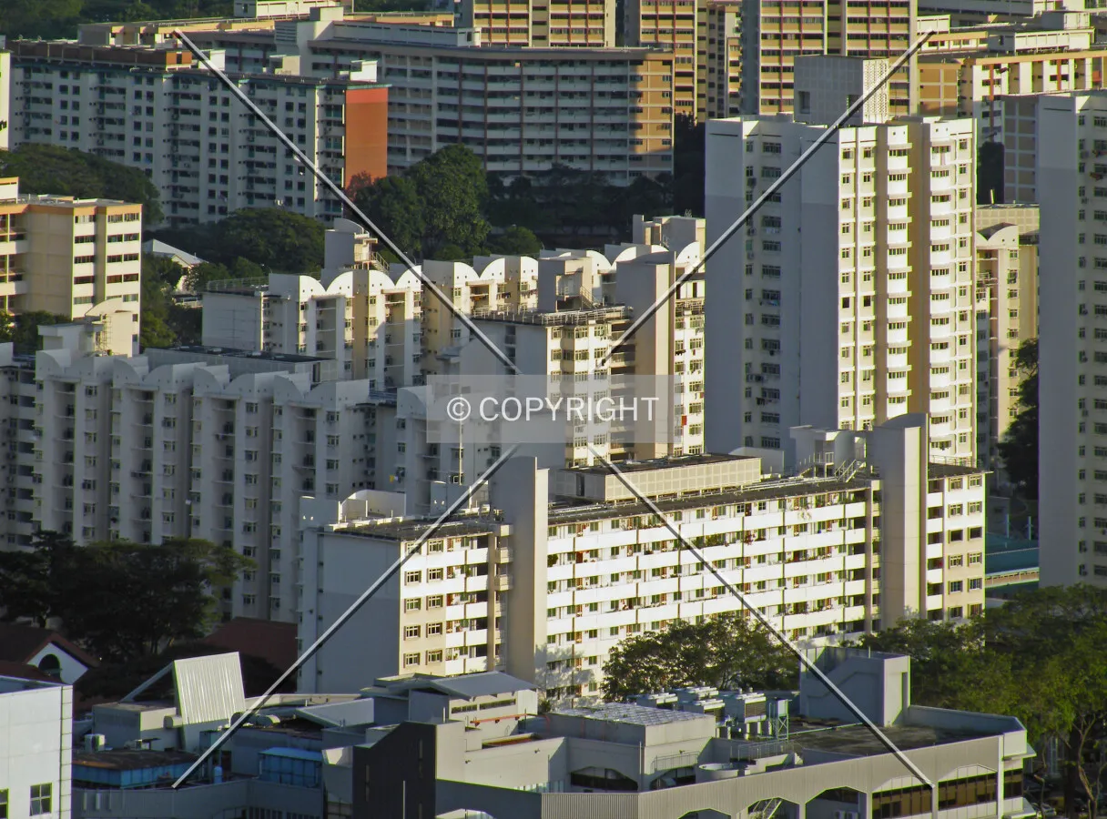 View from the south