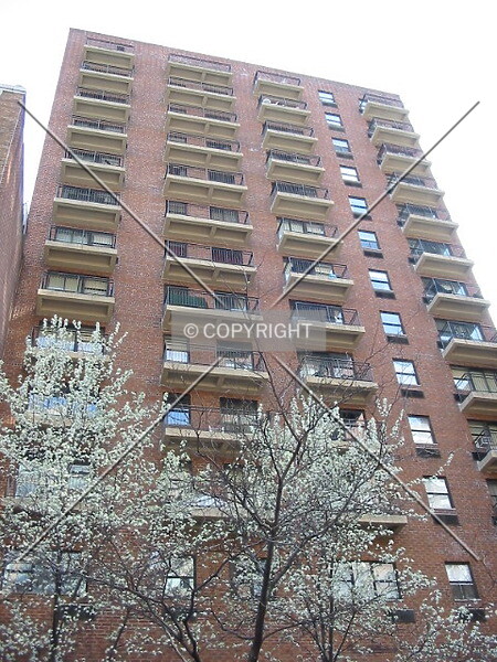 Photo 407-613-819