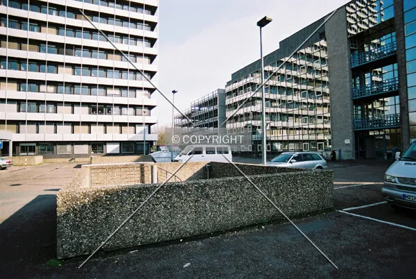 More university buildings are bordering the high-rise building