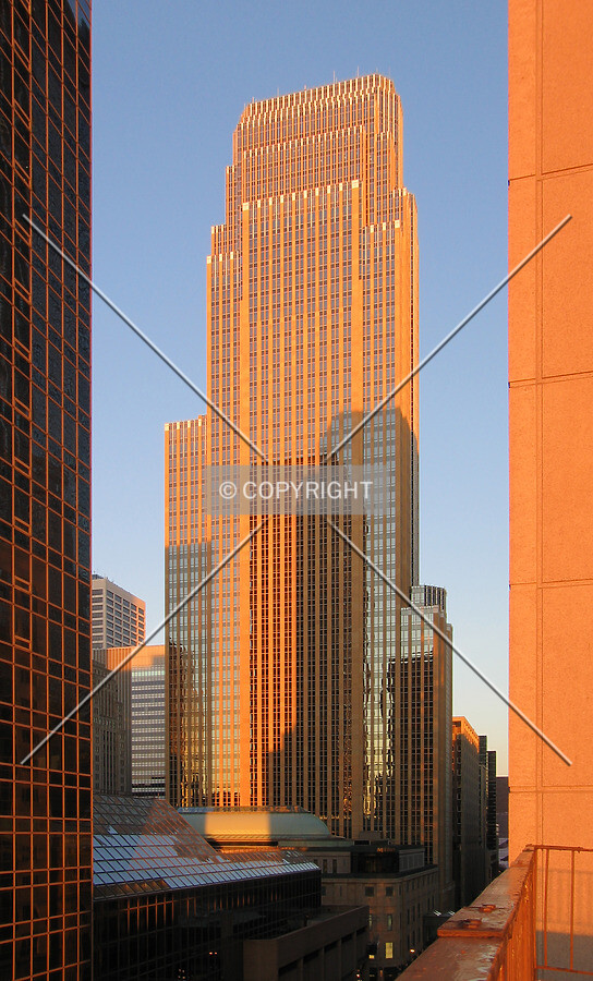At the height of the golden hour