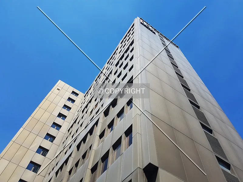 Photo 409-877-074