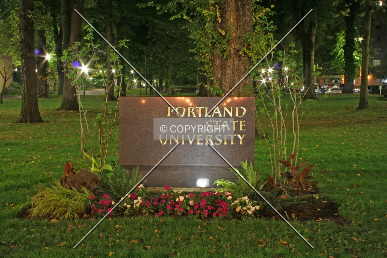 Building sign
