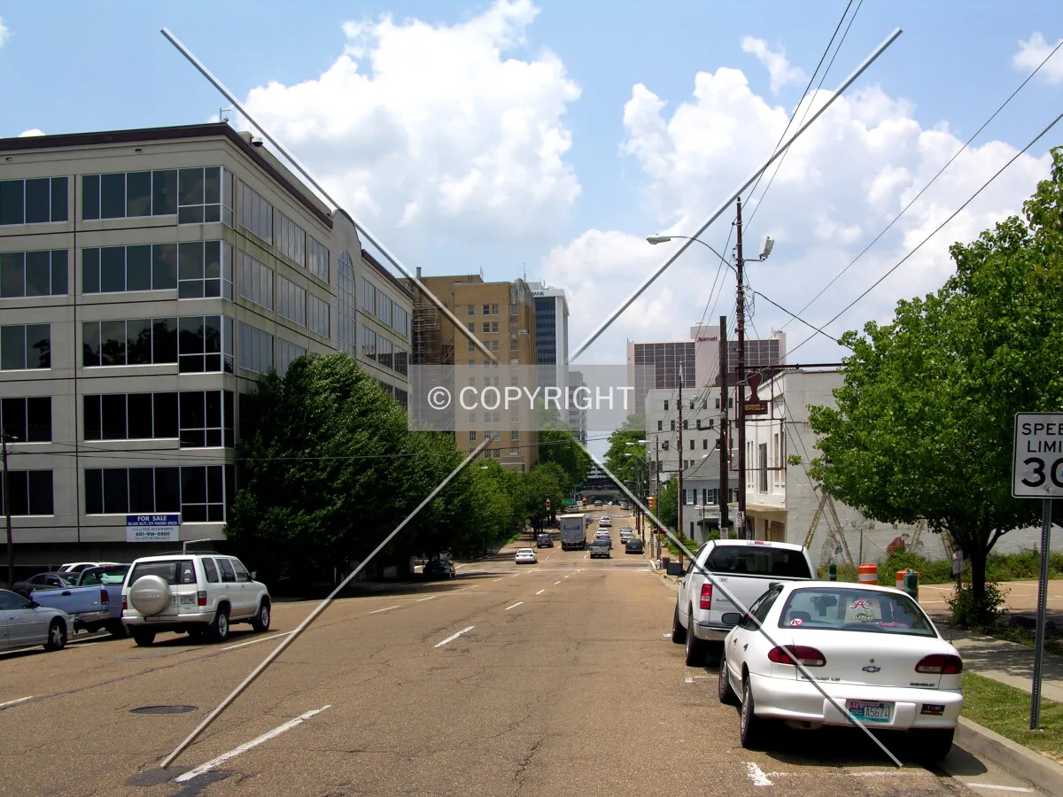 From North State Street to the east