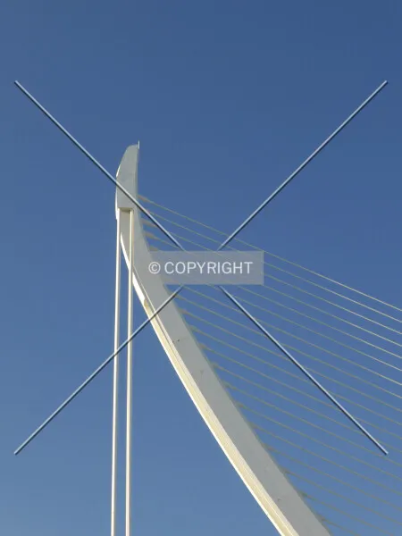 Photo 410-970-283