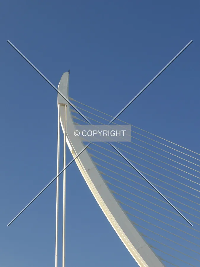 Photo 410-970-283