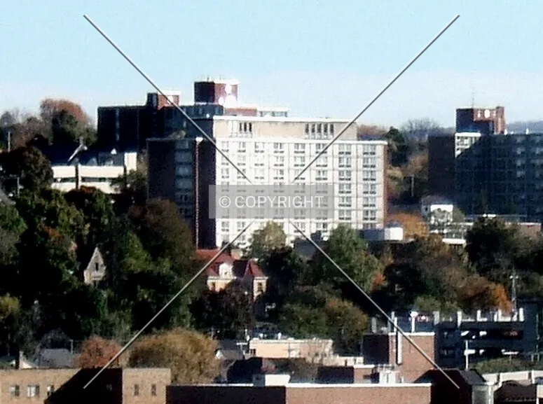 Photo 411-123-793