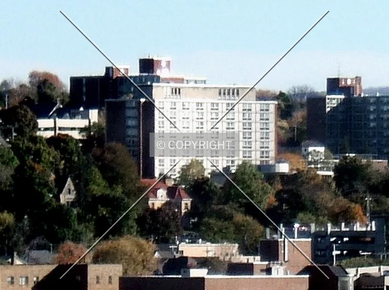 View from the northwest