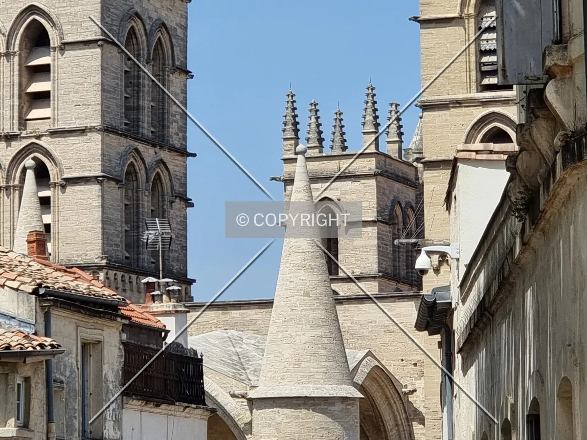 Photo 411-153-276